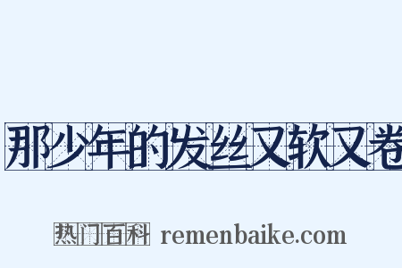 那少年的发丝又软又卷是什么意思的图片